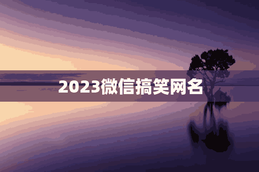 2023微信搞笑网名(2021的微信网名搞笑)